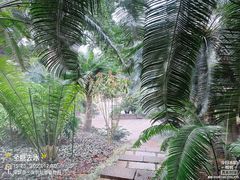 -深圳仙湖植物园