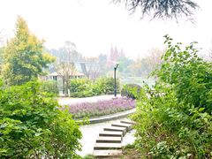 -成飞公园