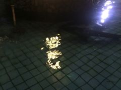 -天怡·鱼工厂(临江店)