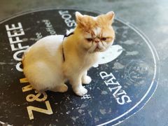 -ZM COFFEE(西安路店)