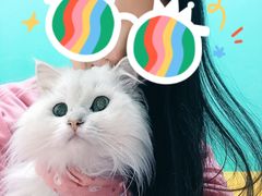 -猫在这儿猫咪咖啡馆·撸猫馆