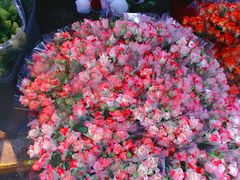 -循礼门鲜花花市(武汉循礼门店)