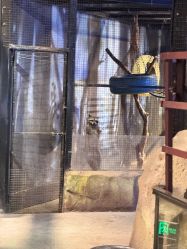 -酷嗒动物文化乐园(cutezoo西溪乐天城店)