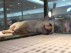 -乐宠宠物店(世纪金源店)