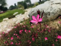 -汉长安城未央宫国家考古遗址公园