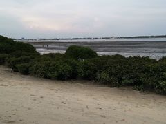 -霞山观海长廊