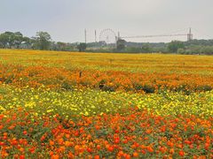 -花博汇(知音花月夜)