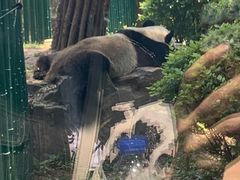 -大连森林动物园