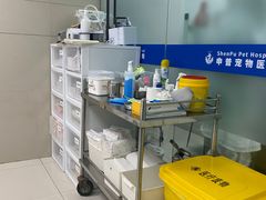 -申普宠物医院·心脏介入·心血管微创(总院)