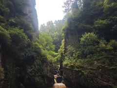 -茅兰沟国家森林公园