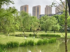 -沐仙湖湿地公园