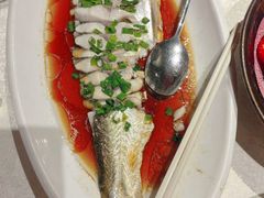 豉油蒸白水鱼-金美华轩(东方路齐鲁店)