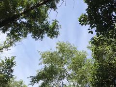 -长兴太湖图影湿地文化园
