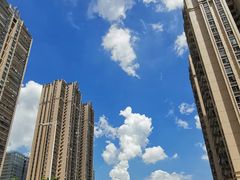 -元气寿司(金光华店)