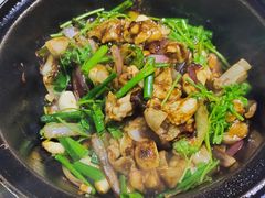 -石岐乳鸽村(南海第三分店)