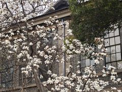 -南京晨光1865创意产业园