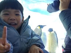 -海合安成都极地海洋公园
