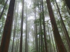 -山王坪喀斯特国家生态公园