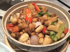 -留半山·香港食堂(啦啦宝都店)