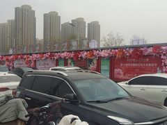 -曹州牡丹园
