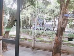 -探窝·竹笙椰子鸡(杨箕店)