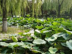 -唐山抗震纪念碑广场