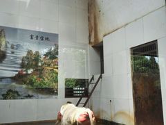 android_upload_pic-西安秦岭野生动物园