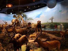 -陕西自然博物馆