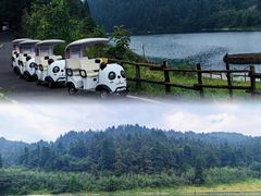 -武陵山森林公园