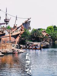 -翱翔飞越地平线