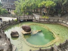 -荷花温泉