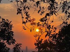 -杭州半山国家森林公园