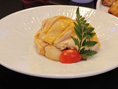 -新白鹿餐厅(百联中环店)