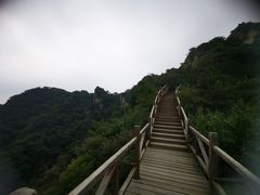 -大岭沟猕猴桃谷风景区