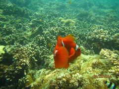 -环滩岛