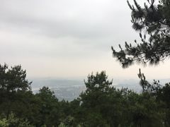 -铁山坪森林公园