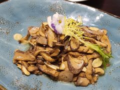 干椒牛肝菌-翠湖宾馆·中餐厅