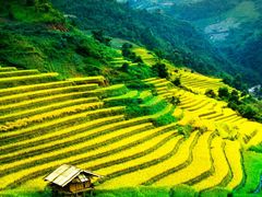 -篁嶺土菜馆·柴火饭 土鸡土菜