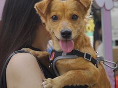 -嘉荣超市(望牛墩店)