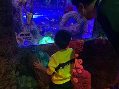 -沈阳海洋探索中心