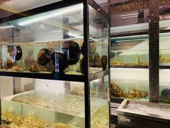 -甄御•海鲜新青岛菜(麦岛店)