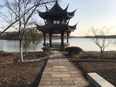 -杭州湾海上花田景区