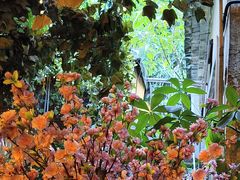 -鹅滋道(甘坑古镇店)