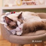 南宁有趣小店·喵庄园