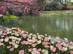 -圩墩遗址公园