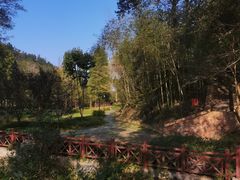 -素山寺森林公园