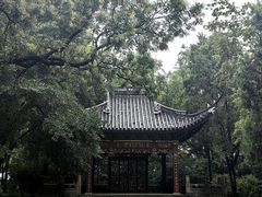 -汇龙潭