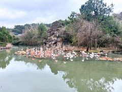 -宁波野生动物园
