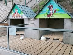 -北京鹿世界主题园