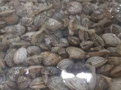 -岳各庄批发市场(西四环中路店)